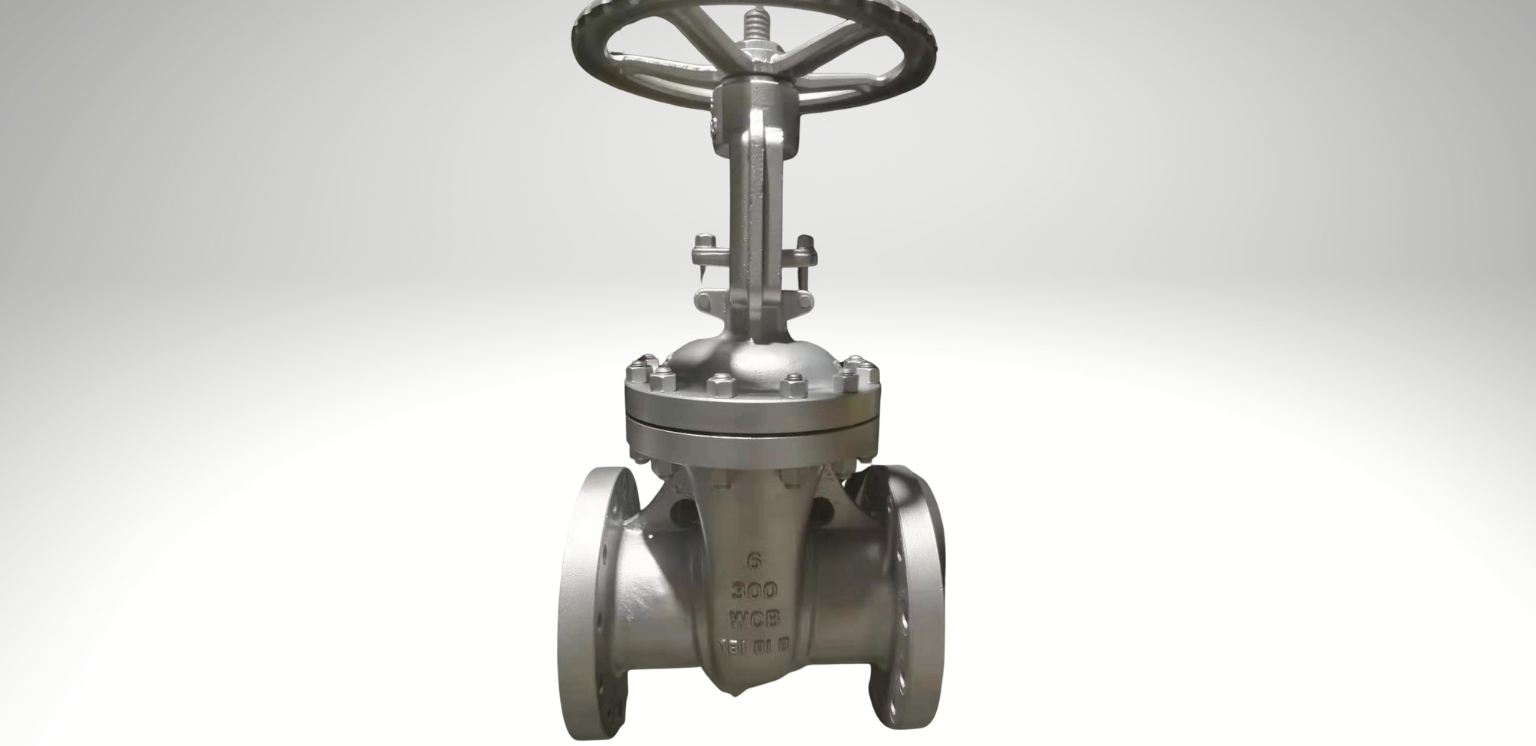 Valve Manufacturer